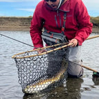 Person in a red jacket and gray waders fly fishing. They are holding a fishing net in shallow water (global).